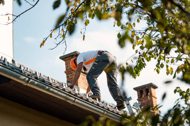 Best Roof Gutter Cleaning  in Bogata, TX