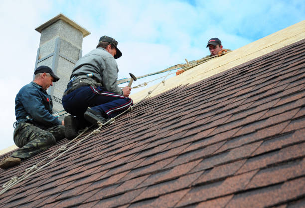 Best Best Roofing Contractors  in Bogata, TX
